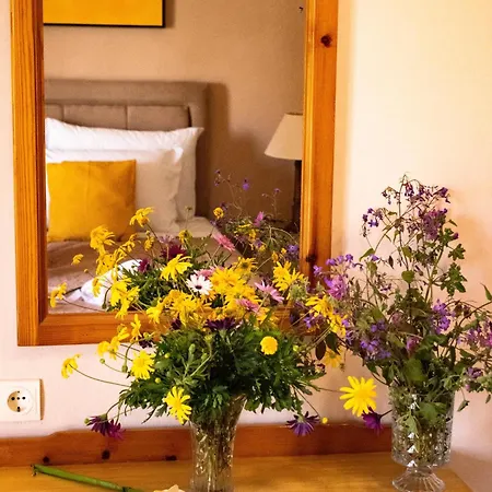 Apidalos Naus * Perama (Corfu)