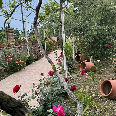 Appartement Apidalos Naus