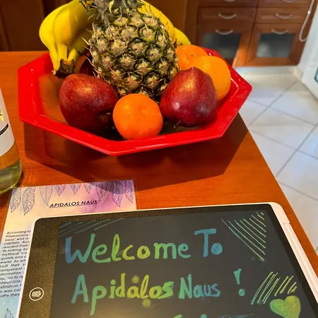 Apidalos Naus