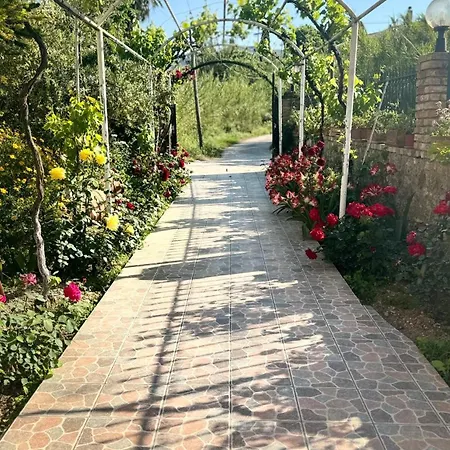 Appartement Apidalos Naus