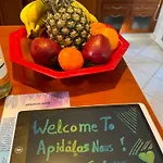 Apidalos Naus