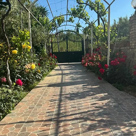 Apartment Apidalos Naus Perama (Corfu)