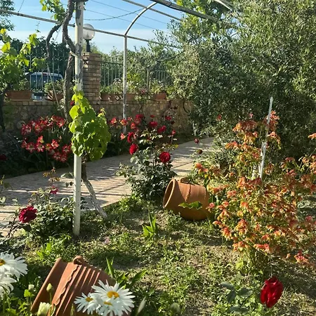 Apidalos Naus * Perama (Corfu)